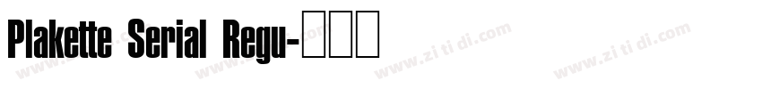 Plakette Serial Regu字体转换